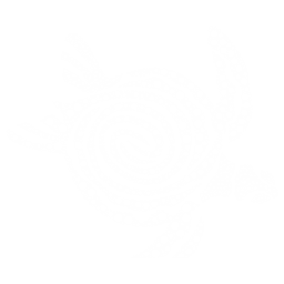 Palawan Collective mark